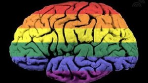 rainbowbrain_blog_large