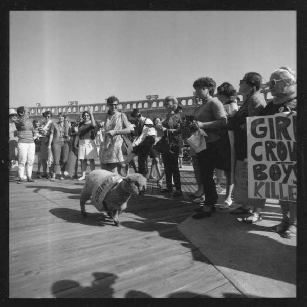 1-9kkcqczqos8ztpj3h3-ztw