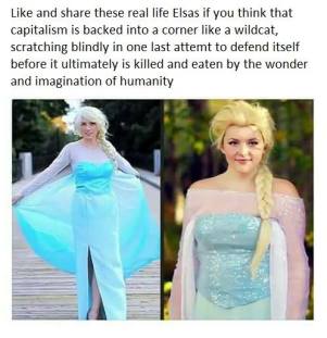 18620327_1850117245309231_3881520333704458312_n